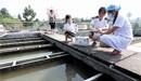 我國將加快國家地下水監(jiān)測工程建設