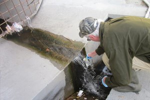 維護水質(zhì)分析儀的離子傳感器時要注意哪些問題